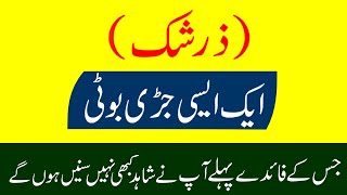 Benefits Of Zurshik By Rana Inam Yaseen