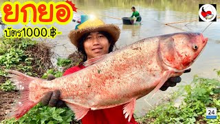 ยกยอ บ่อพี่ติ่ง ►Fishing lifestyle Ep.462