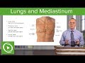 Lungs and Mediastinum – Thoracic Viscera | Lecturio