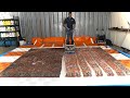 Satisfying 9x12 wool rug washing || Rug Spa Episode 12