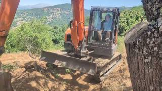 Permaculture swales in spain