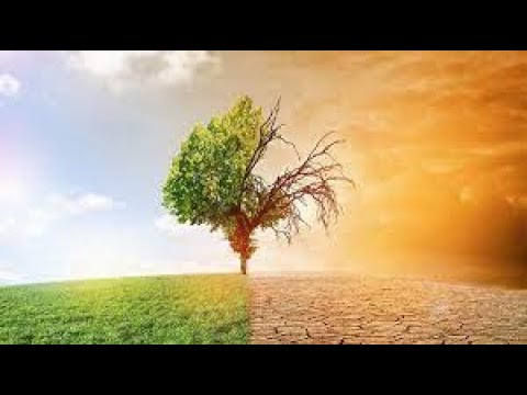 Глобальные мегатренды: климатические изменения, декарбонизация и энергетическая политика