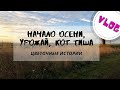 Начало осени, урожай и кот Тиша