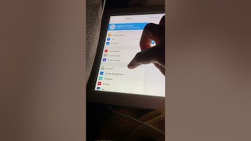 How to invert the screen color on the iPad