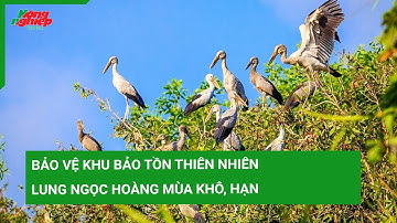 Bảo vệ Khu bảo tồn thiên nhiên Lung Ngọc Hoàng mùa khô, hạn