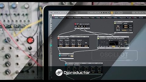 Tutorial OSCiLLOT, Max For Cats Ableton Live⎮DjProductor