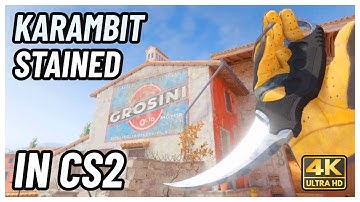 ★ CS2 Karambit Stained | CS2 Knife In-Game Showcase [4K]