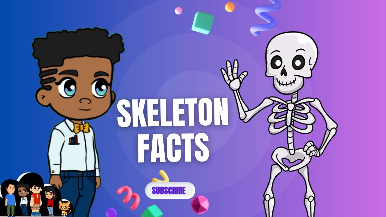 Amazing Skeleton Facts for Kids! | Fun Learning with Zebo and Friend