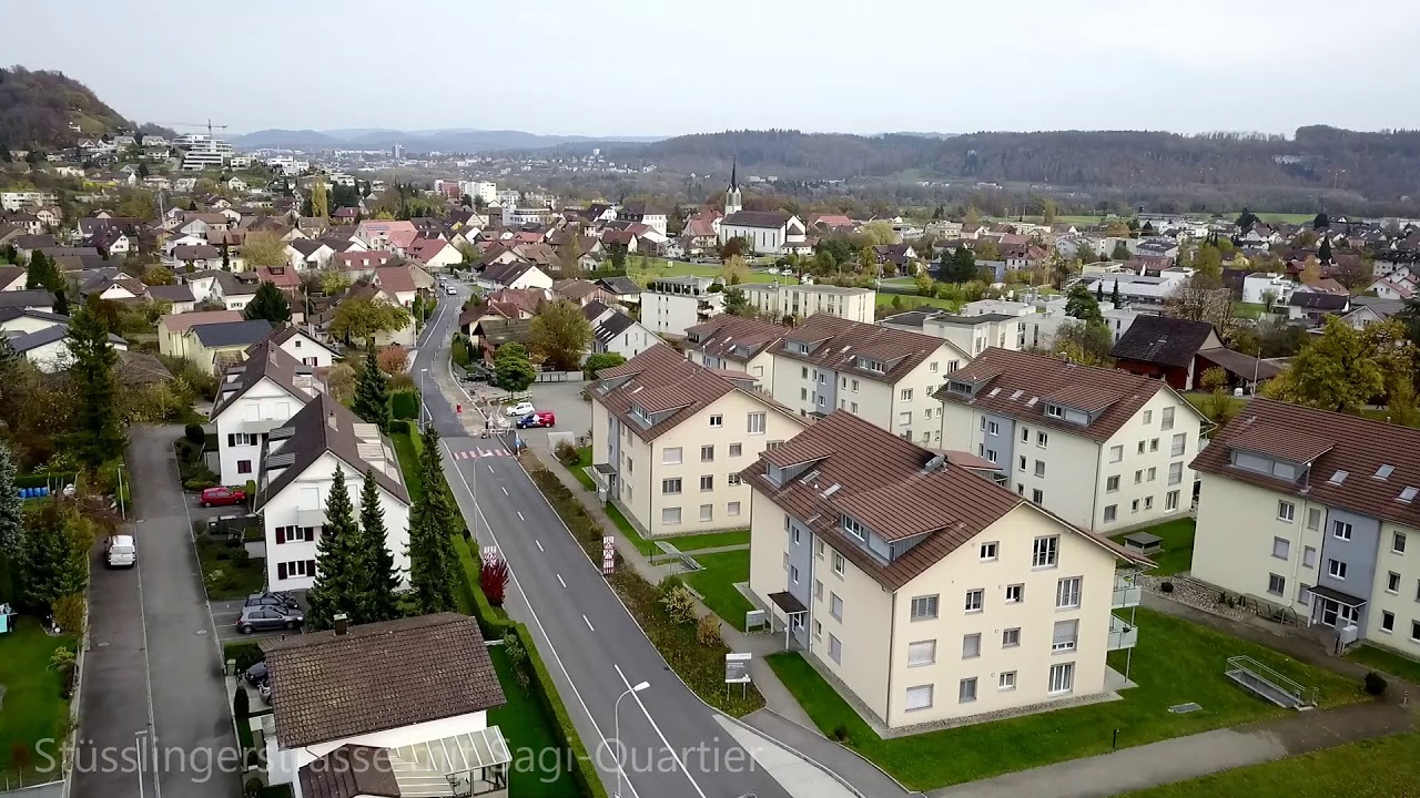 Erlinsbach - Platten und Reben