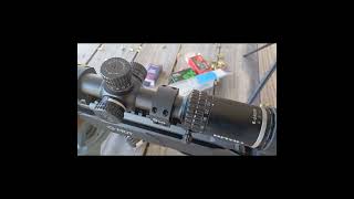 Savage B22 Precision at 100 Yards