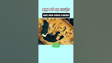 bạn đỡ sợ chuột hơn, khi xem video này