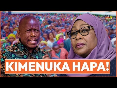 Hali Tete Samia Suluhu Matatani Baada Ya Vijana Wake Kumshambulia Hamphrey Polepole