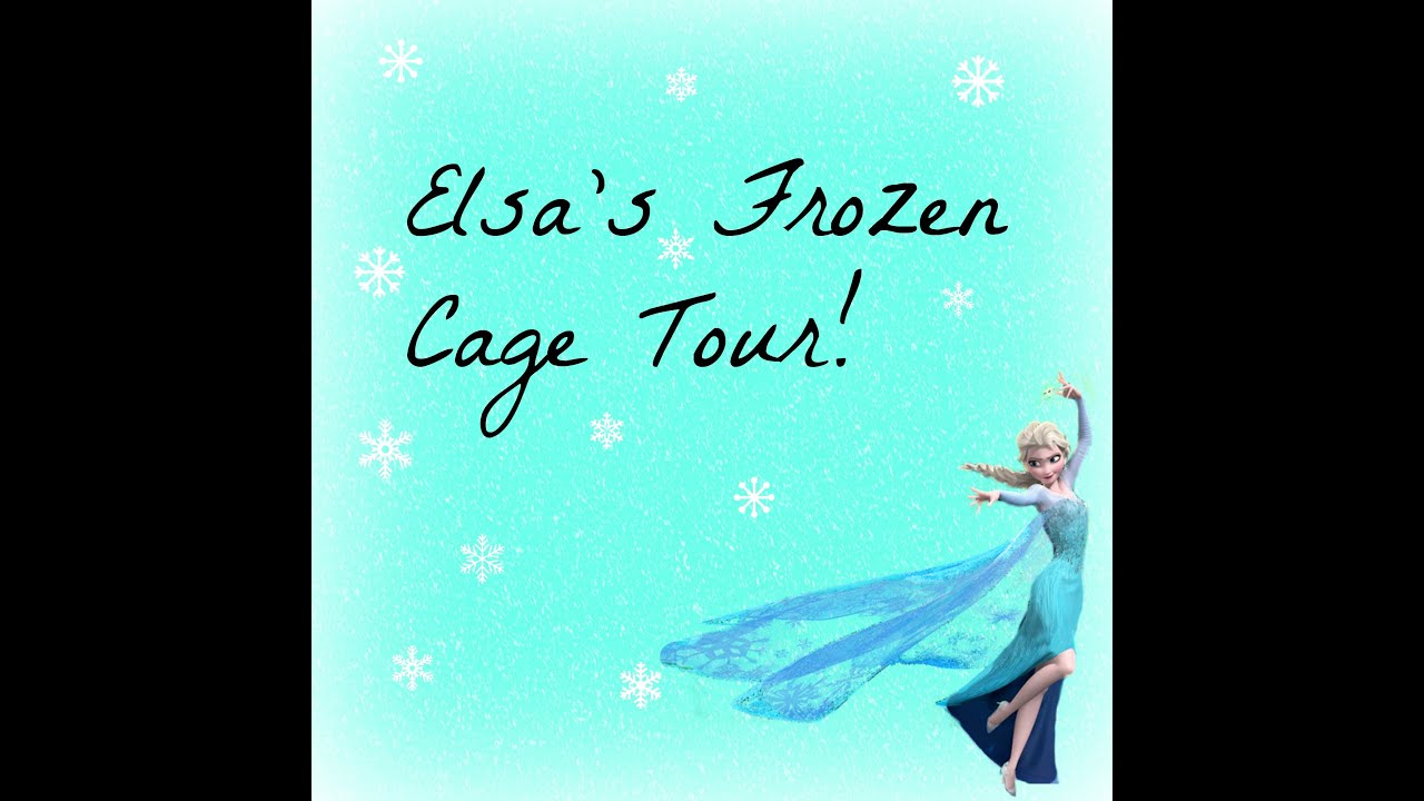 camera iphone 8 plus apk Elsa's Frozen Themed Cage Tour
