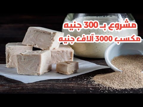 مشروع صغير مربح جدا بدون راس مال صناعة الخميره