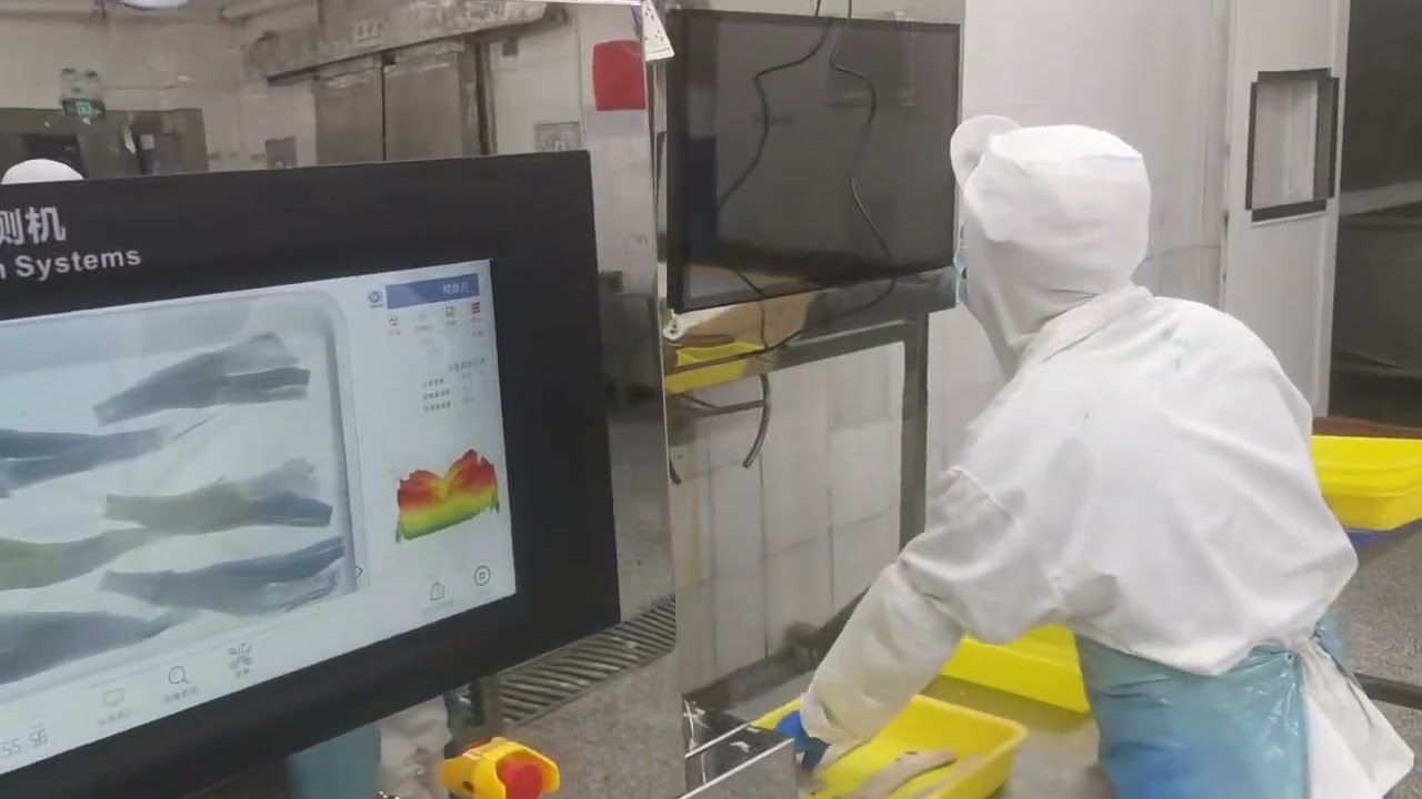 Advanced Fish Bone X-Ray Inspection System | High Precision X Ray Inspection System