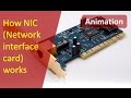 Animation of working of NIC(Network Interface Card) | How NIC works Mp3 Song