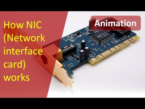 network cards & adaptors