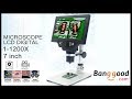 1200x Digital Microscope Review | Banggood