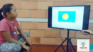 Flags of 108 countries recognised by Pragna using memory techniques