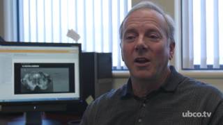 Using Technology To Teach Brain Anatomy