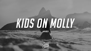 Video thumbnail of "Aries - KIDS ON MOLLY (Lyrics)"