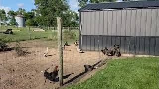 "America Tour: Chicago USA se Indiana ke Farms Tak"