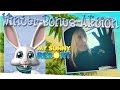 Winterbonusaktion lets play my sunny resort 037