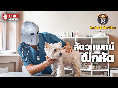 สัตวแพทย์ฝึกหัด - Animal Shelter Simulator