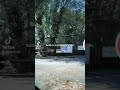 j'ai partagé cette vidéo de balade affecter le monde