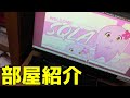 【 実写 】21歳プロストリーマーのゲーム部屋紹介【 SqLA 】 【 SqLA 】