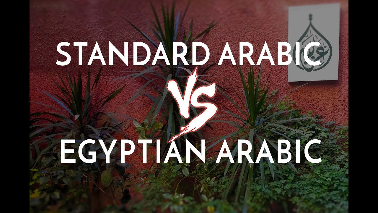 Standard Arabic Vs Egyptian Arabic (with Ms Shrouk) YouTube