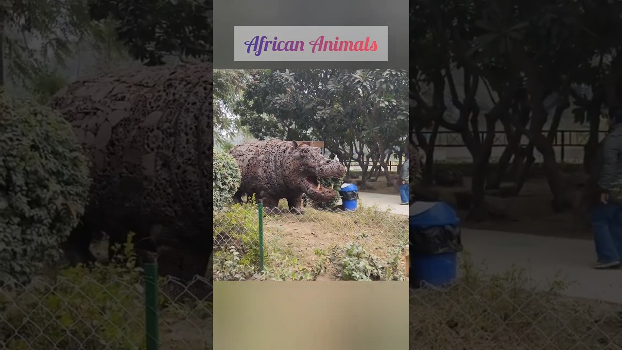African Animals in Jungle Trail 