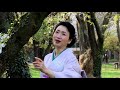 ハンリリ「さくら坂」 MV