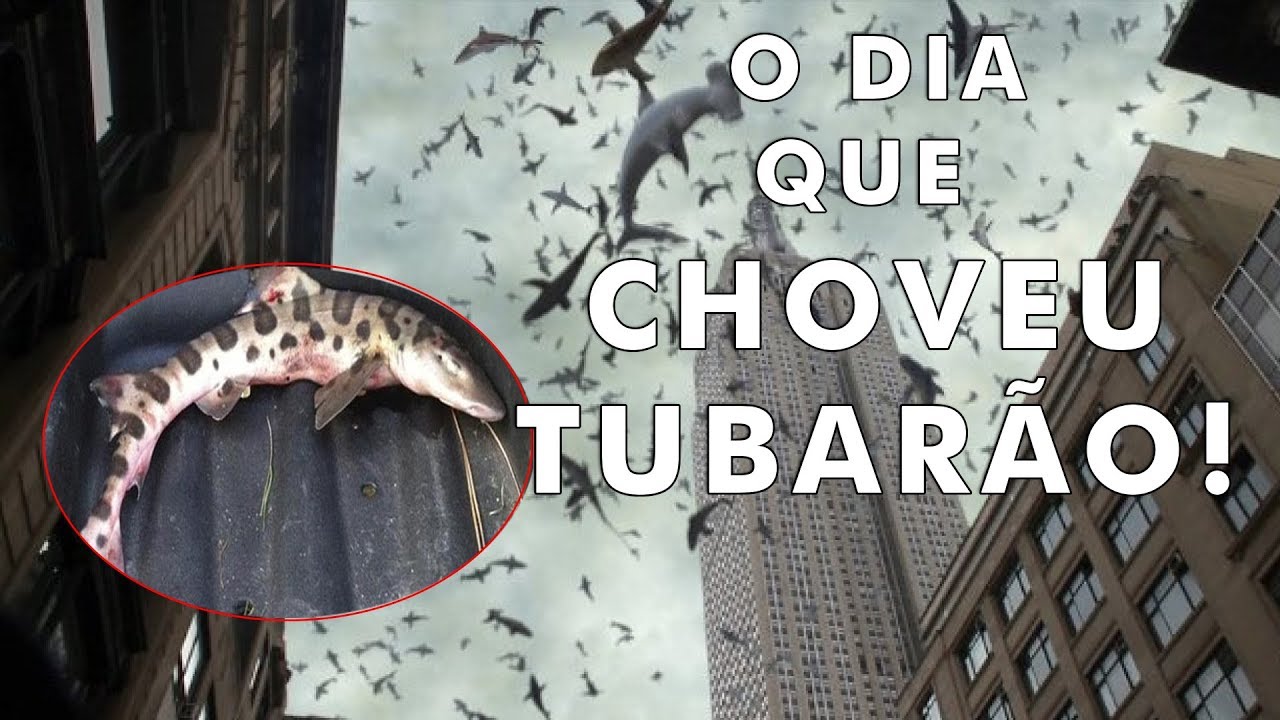 7 coisas encontradas fora do lugar impossíveis de acreditar