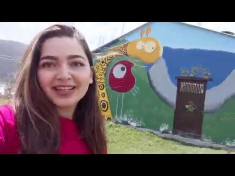 Video: Որտեղ գնալ Բլագովեշչենսկում սովորելու