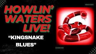 Howlin Waters (Solo Show) - Kingsnake Blues Live [GoPro, Conch Hat, Fender Strat & Deluxe Amp]