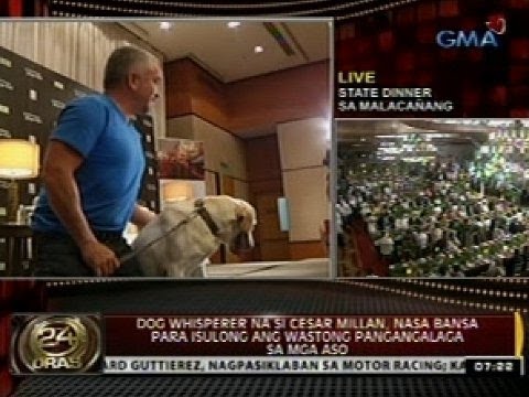 Video: Alam Mo Ba Ang Wastong Pag-uugali Para Sa Mga Serbisyo Na Aso?