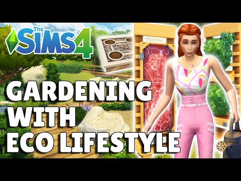 How Eco Lifestyle