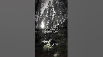 قران كريم ارح قلبك وسمعك #قران_في_دقيقة #علي_جابر @قران_في_دقيقة