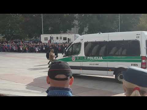 Video: Policijos Bokštas