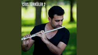 Giresunun İçinde Re Resimi