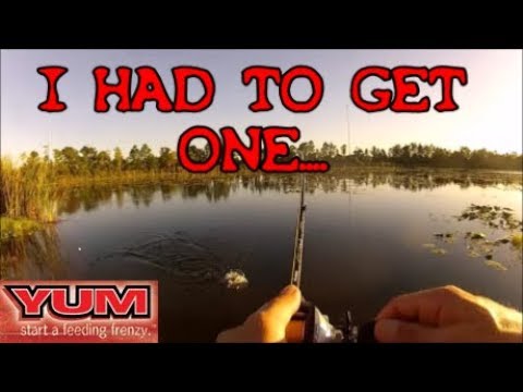 kayak flight It was CHEAP, so why not! Awesome NEW Lure/Rig!!!