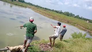 Story wa Mancing mania