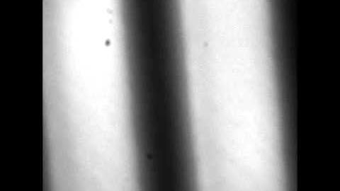 A Label-Free Microfluidic Assay to quantitatively study antibiotic diffusion through lipid membranes