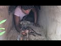 Rescue The Pitiful Little Dog Falling Down The Drain, Screaming For Help Nobody Cares | Pets Rescue