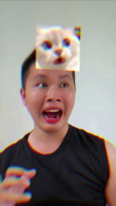 #filter : Meme Cat Test (App :Tiktok)