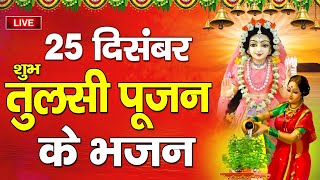 Live:आज शुभ तुलसी पूजन दिवस - तुलसी माता की इस आरती सुनें घर में धन दौलत और अपार लक्ष्मी कृपा मिलेगी