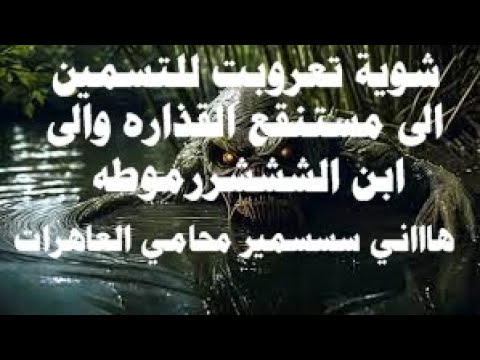 شوية تعروبت للتسمين الى مستنقع القذاره والى ابن الشششررموطه هاااني سسسمير محامي العاهرات 