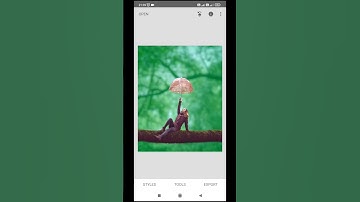 HOW TO BLUR BACKGROUND in Snapseed | Blur Background Photo Editing|SNAPSEED TUTORIAL