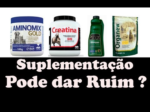 Vídeo: Posso Dar Suplementos Ao Meu Cão?